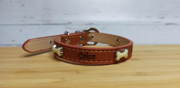 Custom Leather Dog Collar, Personalized Dog Collar