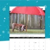 Personalized Photo Calendar