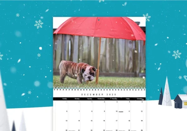 Personalized Photo Calendar