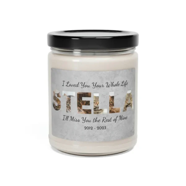 Pet Memorial Gift, Cat Memorial Candle, Sympathy Gift, The Light Remains, Memorial Candle, Condolence Gift, Bereavement Gift, Photo Candle