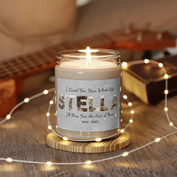Pet Memorial Gift, Cat Memorial Candle, Sympathy Gift, The Light Remains, Memorial Candle, Condolence Gift, Bereavement Gift, Photo Candle