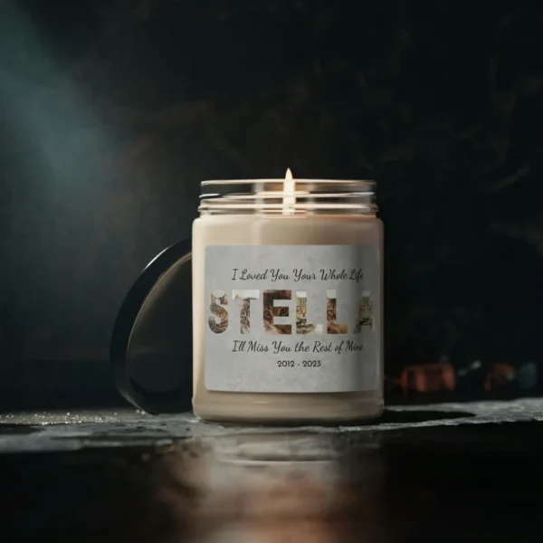 Pet Memorial Gift, Cat Memorial Candle, Sympathy Gift, The Light Remains, Memorial Candle, Condolence Gift, Bereavement Gift, Photo Candle